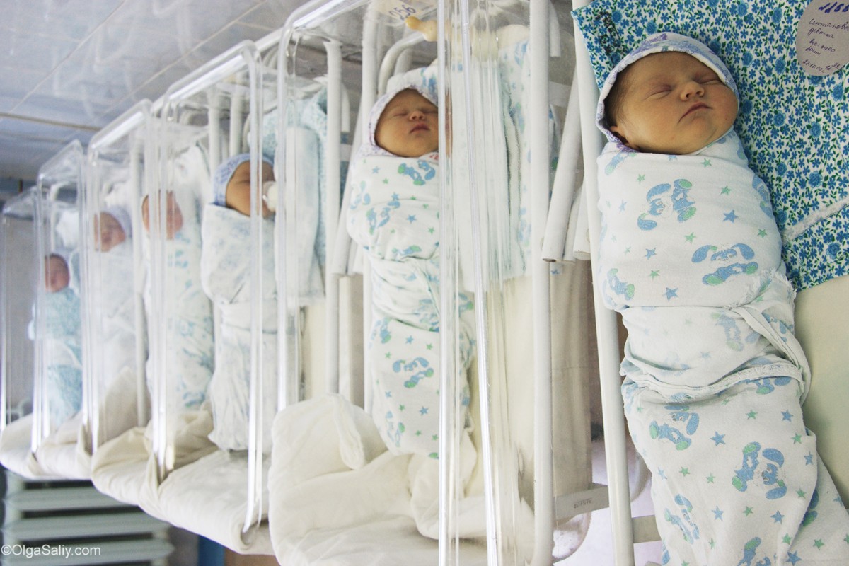 newborn babies in the maternity ward