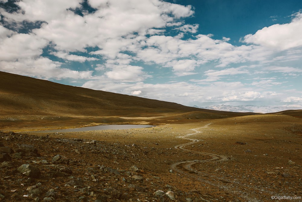 Altai Mountains. Travel in Russia (17)