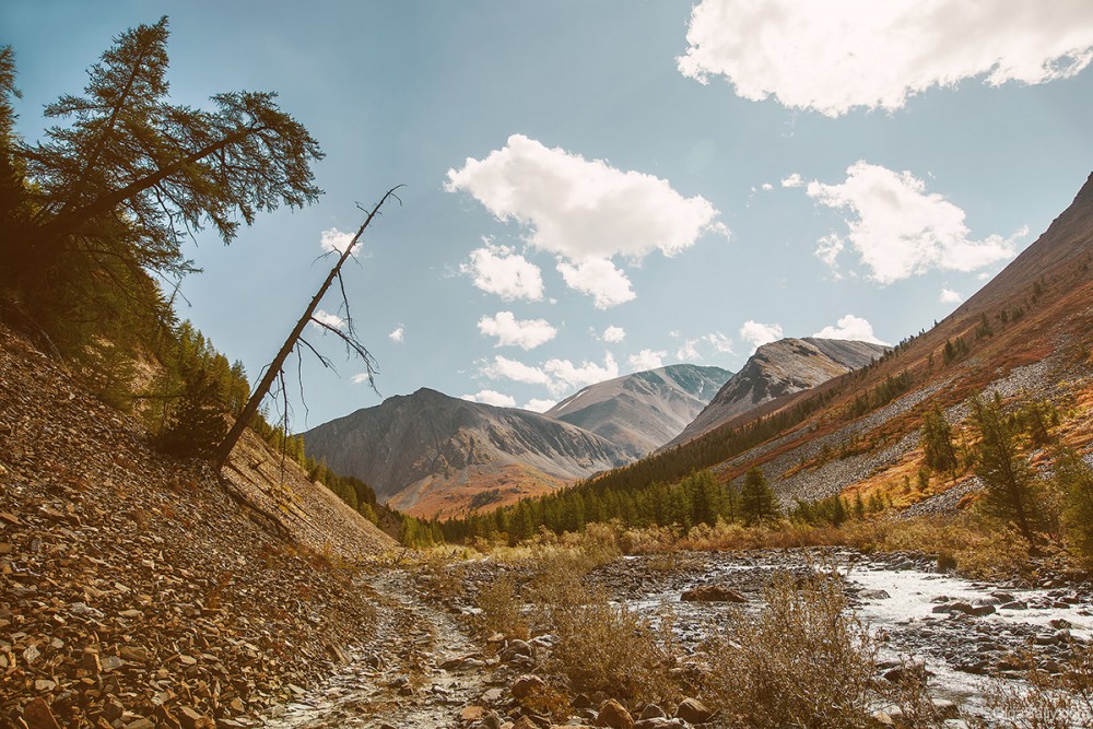 Altai Mountains. Karagem