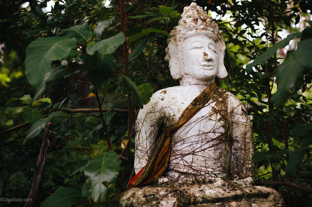 Abandoned statues with traces of bullets on Koh Samui (5)