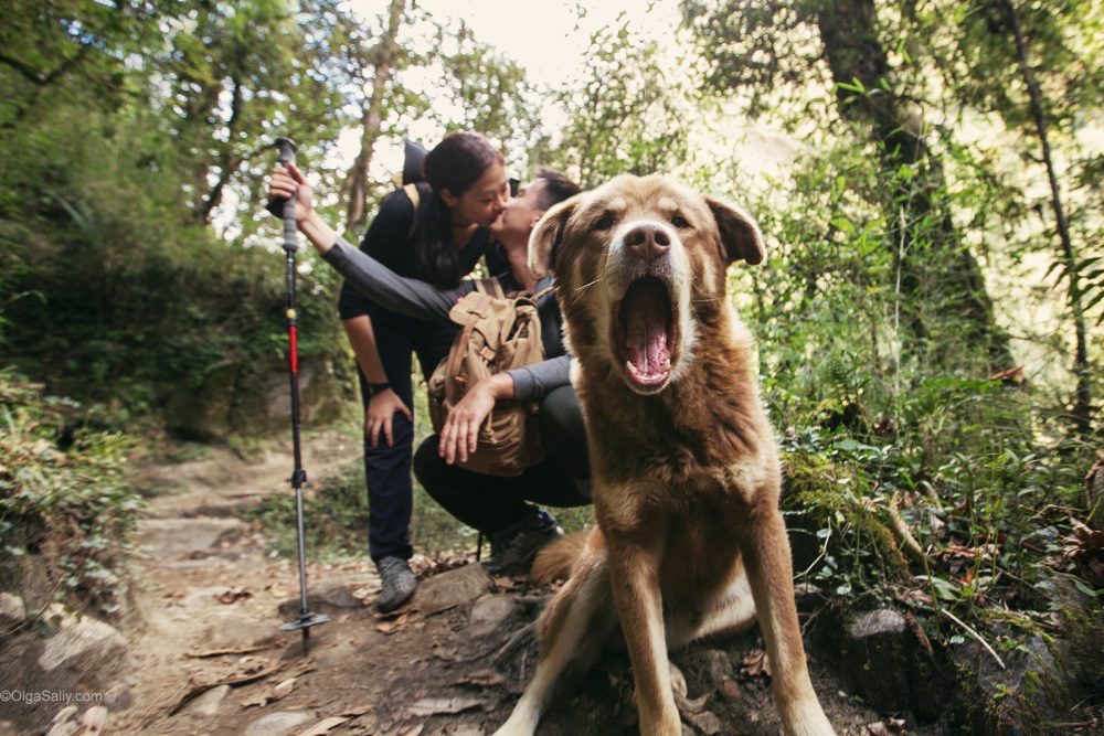 Love PhotoShoot in Nepal - trekking to Annapurna Base camp (55)