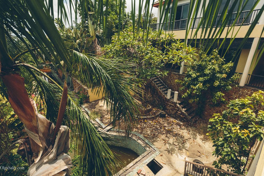 Abandoned tropical Resort with Dog. Koh Samui (19)