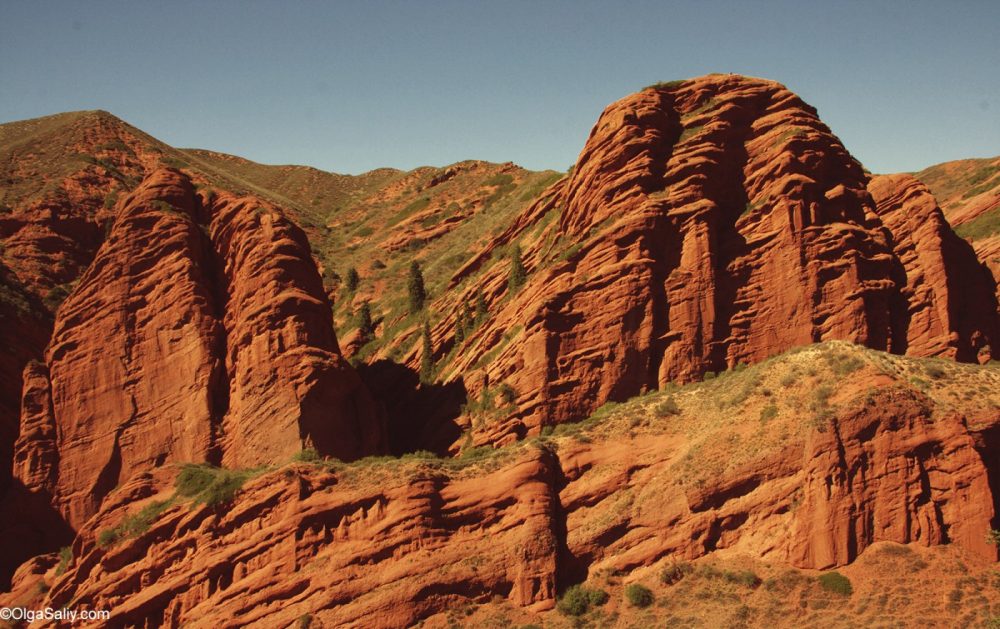 Seven bulls, cliffs in Kyrgyzstan