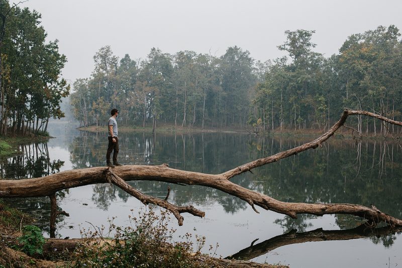 Chitwan national park